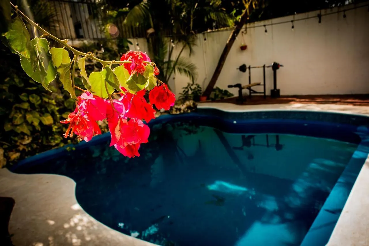 Casa Kimaya Hotel Cancun